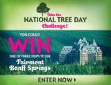 National Tree Day Challenge Contest