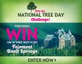 National Tree Day Challenge Contest