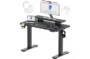 FLEXISPOT Standing Desk with Monitor Stand, 48 x 24 Inches One-Piece Electric Height Adjustable Computer Desk with Cup Holder, Home Office Desks (Black Frame+ Black Top)