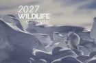 Free Canadian Wildlife Federation Calendar 2027