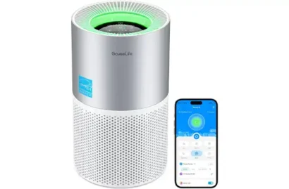 GoveeLife Air Purifiers for Bedroom