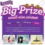 Thinsations Big Prize Small Size Contest