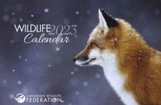 Free Canadian Wildlife Federation Calendar 2023