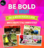 Pet Valu – What’s Your Pet’s Fall & Winter Style Contest