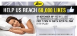 FREE Pillows From Leons Canada