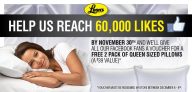 FREE Pillows From Leons Canada