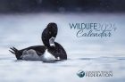 Free Canadian Wildlife Federation Calendar 2024