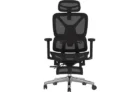 FLEXISPOT ErgoX Premium Ergonomic Office Chair