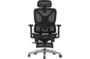 FLEXISPOT ErgoX Premium Ergonomic Office Chair