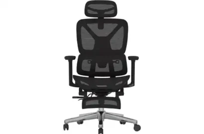 FLEXISPOT ErgoX Premium Ergonomic Office Chair