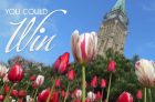 Home Hardware Canada 150 Tulip Giveaway