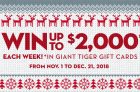 Giant Tiger Christmas Contest 2018