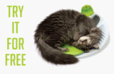 Try Catit Senses Wellness Center for Free