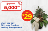 PC Optimum Flash Sale Outdoor Holiday Arrangements