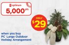 PC Optimum Flash Sale Outdoor Holiday Arrangements