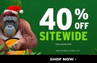 The Body Shop – 40% off + Free* Shipping