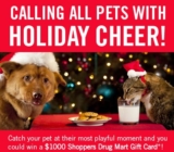 Amigo Holiday Pet Photo Contest