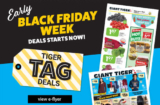 Giant Tiger Early Black Friday Flyer