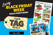 Giant Tiger Early Black Friday Flyer