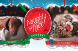 Blue Buffalo Naughty or Nice Contest