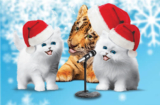 Royale Jingle Kittens Contest