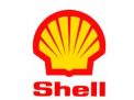 Free Shell Gas Cards *OVER*