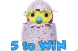 reebee Hatchimals Giveaway