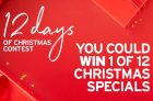 TSC 12 Days of Christmas Contest