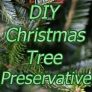 DIY Christmas Tree Preservative