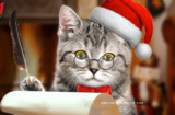 Whiskas 12 Days of Catmas