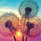 5D Diamond Painting Kit, Dandelions