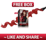 FREE BOX of Vidal Sassoon Salonist *GONE*