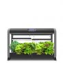 AeroGarden Farm 24Basic w/Heirloom Salad Greens