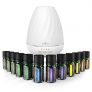 Anjou Aromatherapy Essential Oil & Diffuser Gift Set