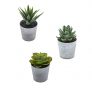 Artificial Succulents Set of 3
