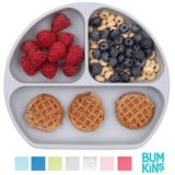 Bumkins Silicone Grip Dish, Gray