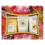 Burt’s Bees Face Essentials Holiday Gift Set ($34 Value), 4 Skin Care Products