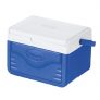 Coleman 5 Quart FlipLid Cooler