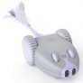 DADYPET Interactive Robotic Cat Toy, Mouse Shape
