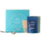 DAVIDsTEA David’s Starter Kit