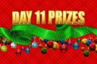 SaveaLoonie’s 7th Annual 12 Days of Giveaways – Day 11 Prizes