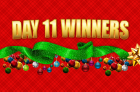 SaveaLoonie’s 7th Annual 12 Days of Giveaways – Day 11 Winners
