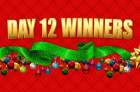 SaveaLoonie’s 7th Annual 12 Days of Giveaways – Day 12 Winners