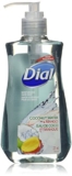 Dial Liquid Hand Soap, Coconut Water Mango
