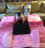 SaveaLoonie’s 50,000 Fan Giveaway is LIVE