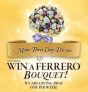 Ferrero Rocher Contest / Giveaway