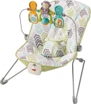 Fisher-Price Baby’s Bouncer, Green/Blue/Grey
