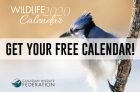 Free 2020 Canadian Wildlife Federation Calendars