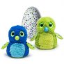 Hatchimals – Hatching Egg – Interactive Creature – Draggle – Blue/Green