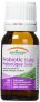 Jamieson Probiotic Baby